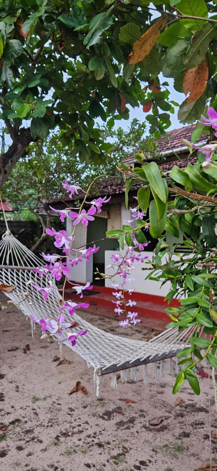 Alappuzha Angeo Beach House מראה חיצוני תמונה
